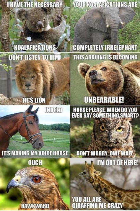 Zoo Fun Funny Animal Quotes Animal Jokes Funny Animal Pictures