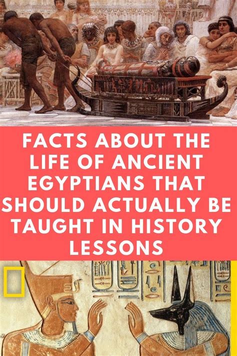 the ancient egyptians wtf fun facts fun facts history facts momcute
