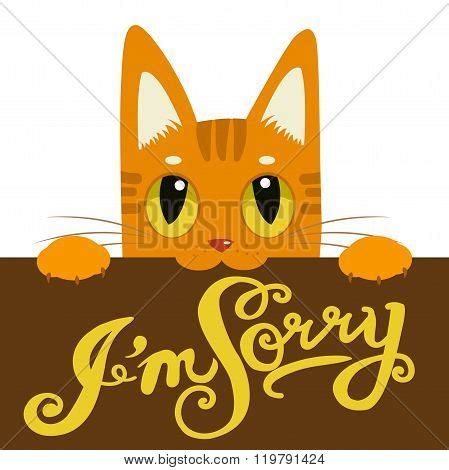 Sorry Images, Stock Photos & Illustrations | Bigstock