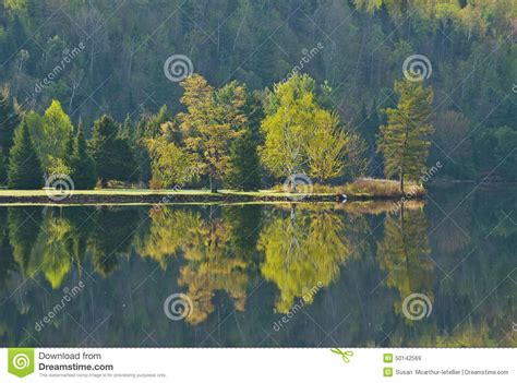 Lake Reflection Of Trees In Early Spring Stock Image Image Of Conifer