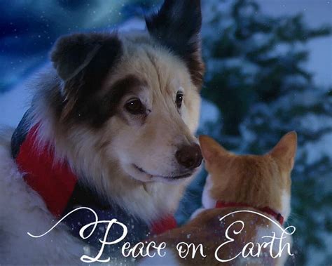 To connect with bluemountain.com, log in or create an account. "Peace on Earth Ecard" | Christmas eCard | Blue Mountain eCards