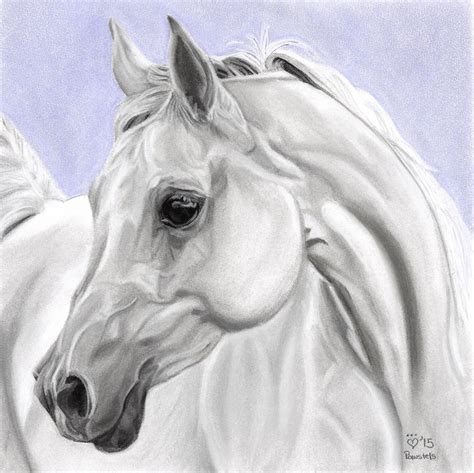 White Arabian Horse Art Digital Download Instant Download Etsy