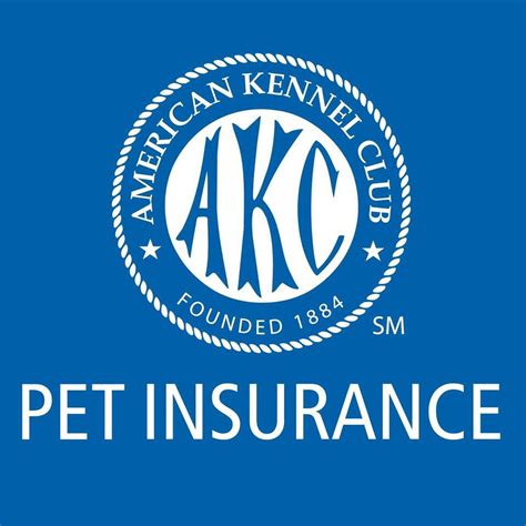 The 7 Best Pet Insurance Companies of 2020