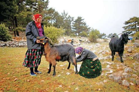 Turkeys Last Nomads Roam Anatolia