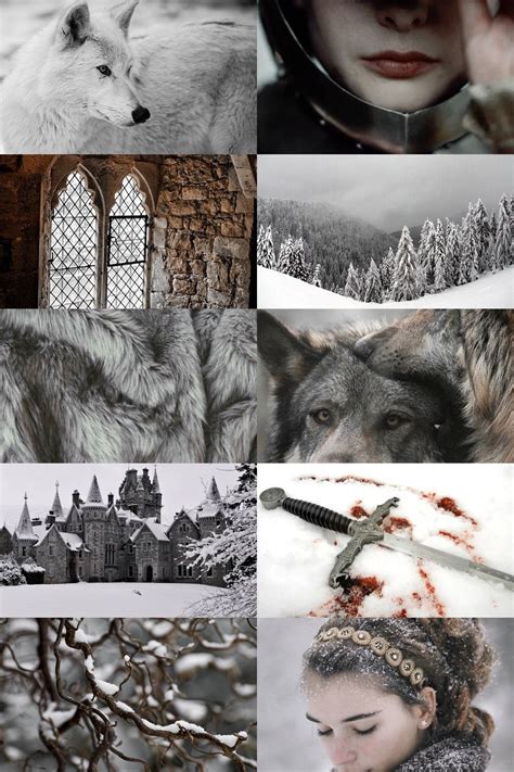 Download a song of ice and fire: house stark ""winter is coming" " | Werewolf aesthetic, Witch aesthetic ...