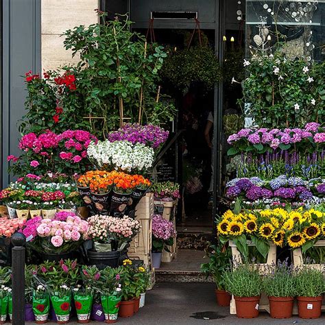 Start a tradition in paris, texas with the perfect fowers and gifts for any occasion. 7 Prettiest Streets in Paris, France - Travis Neighbor Ward
