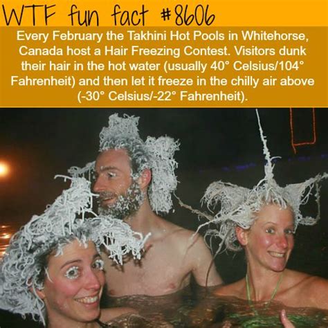 28 mind blowing facts to blow your mind naturally in 2020 fun facts weird facts