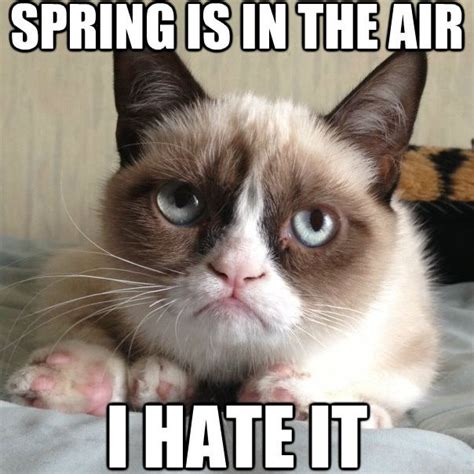 15 Funny Memes About Spring
