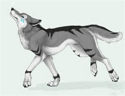Wolf Fox Hybrid Anime