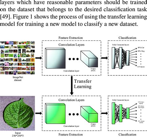 An Illustration Of Using A Pre Trained Based Model To Classify A New