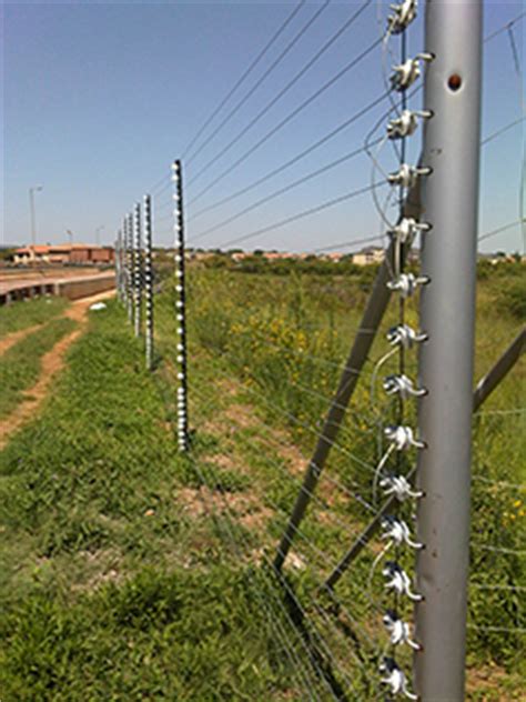 By now, you're more than likely all too familiar with what it feels like to get shocked by an electric fence. Fencing in Pretoria - electric fencing | garden fencing ...
