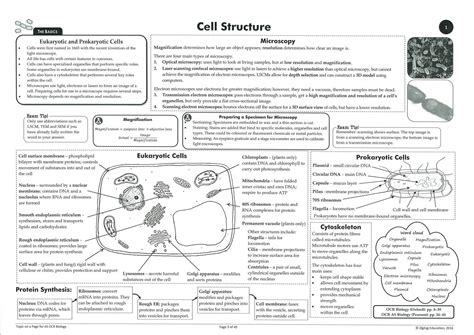Solution A Level Cell Structure Studypool