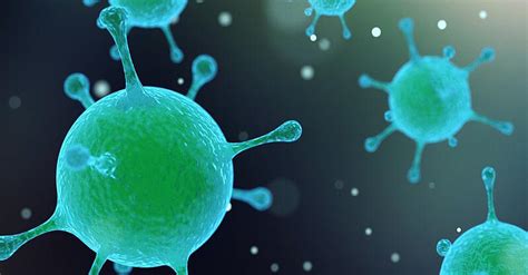 Chủ tịch nước nguyễn xuân phúc: (Corona)virus op de werkvloer