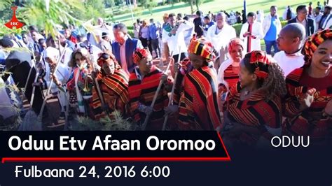 Etv Oduu Etv Afaan Oromoo Fulbaana 24 2016 600 Youtube