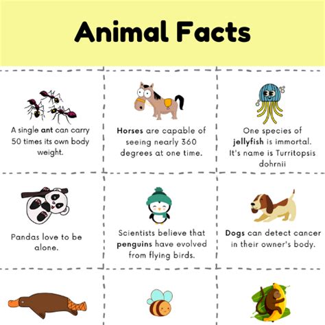 Fun Facts About Animals For Kids With Free Animal Facts Printable