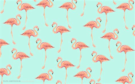 Free Download Flamingo Full Hd Wallpapers 1080p Wallpapers13com