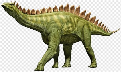 Stegosaurus Dinosaur Stego Dino Prehistoric Prehistory