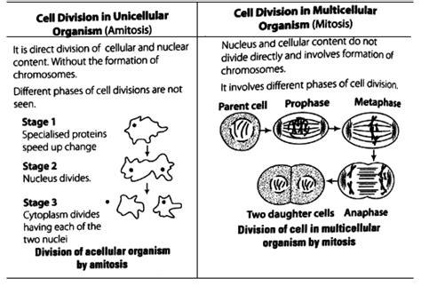 Question 32 Both Unicellular And Multicellular Organisms Undergo