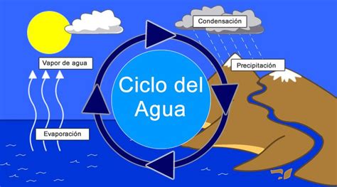 Ciclo Del Agua Para Ni Os Pasos Detallados Y Dibujos