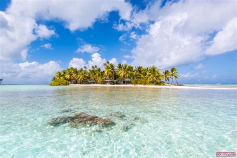 Island In The Blue Lagoon Of Rangiroa Atoll French Polynesia
