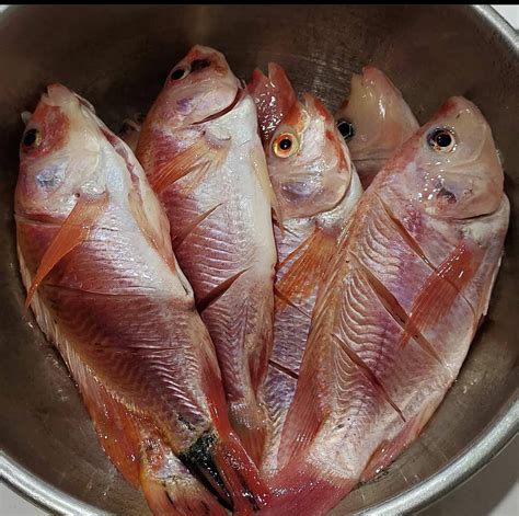 Ikan Nila Merah Bumbu Produksi Denni S Frozen Food Rasa Mantap