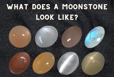 What Does A Moonstone Look Like Gemexi