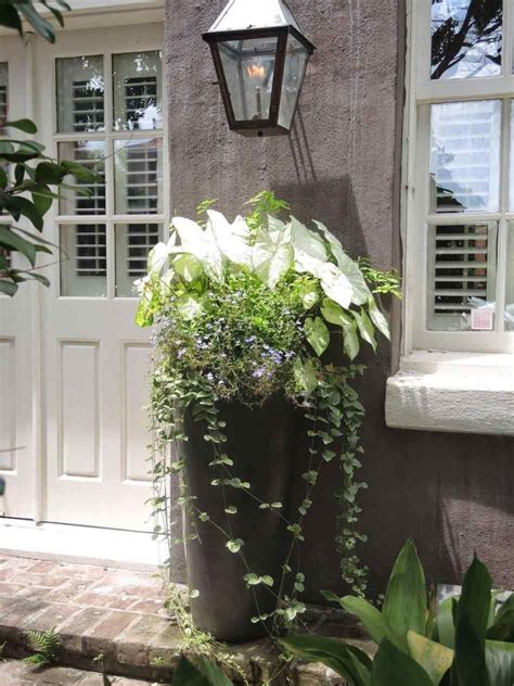 Gorgeous Outdoor Plants Ideas For Your Front Door — Breakpr Front