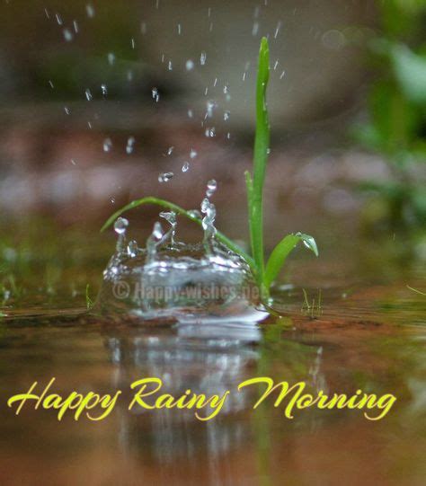 42 Good Morning For Rainy Days Ideas Rainy Day Quotes Good Morning