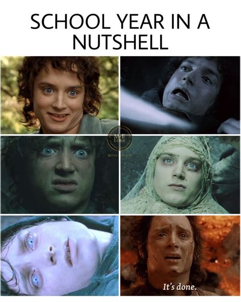 The Many Faces Of Frodo Lotr Funny Hobbit Memes Lotr