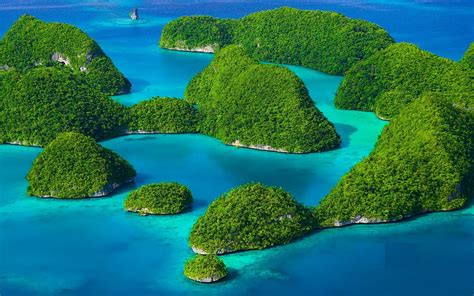 Rock Islands Southern Lagoon O Que Saber Antes De Ir Atualizado 2023