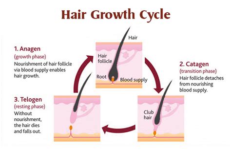 Hair Restoration Los Angeles Hair Growth Treatment Los Angeles County