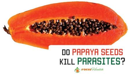 Start Eating Papaya Seeds Right Now Theyre The Magical Cure For Gut