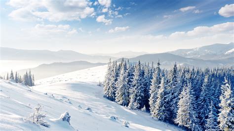 Wallpaper Mountains Forest Trees Snow Winter 4k