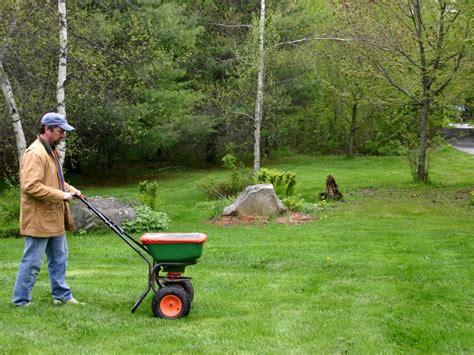 This is my lawn e8 today we discuss my fall fertilizer blend. Best Grass Fertilizing Tips | DIY