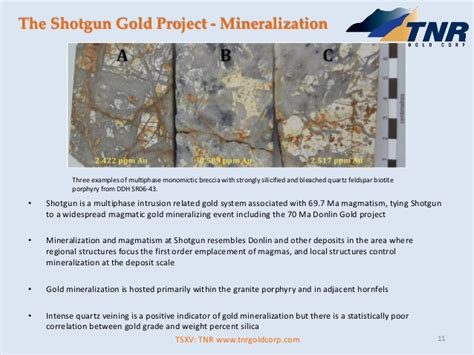 Tnr Gold Shotgun Gold Project Presentation