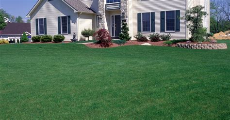 Lawn Care 101 Essentials To Keeping Your Lawn Healthy And Beautiful