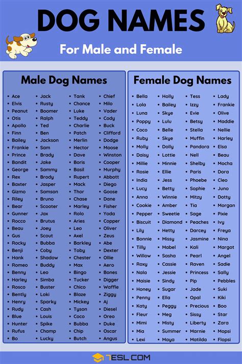 Download 30 Download Pets Names Female Pics Vector