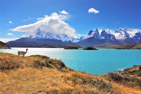 Patagonia Regions Guide Where Should You Go Parc National Torres Del