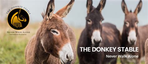 The Donkey Stable Never Walk Alone