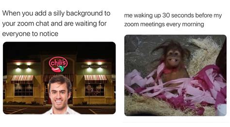 People are sharing their best zoom memes, outfits, and mishaps. Cool Funny Memes Zoom Meeting Jokes - Romance Movies