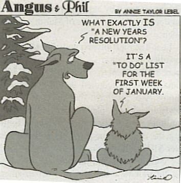 Hilarious New Year S Resolutions Memes And Gifs Jamonkey