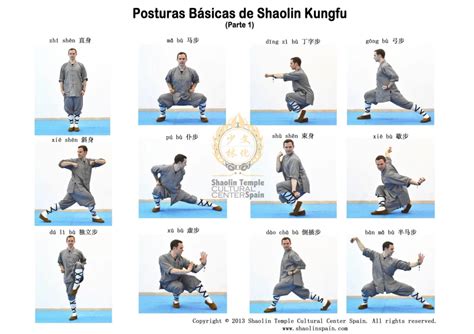 Shaolin Posiciones Basicas Entrenamiento De Las Artes Marciales