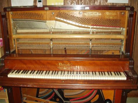 For piano tuning using the latest electronic tuning equipment or for piano repair in wyoming, colorado or nebraska, call us or email us at tuning@apianotuner.com. Paul Milesi | Piano Tuning, Regulation & Repair | Pix