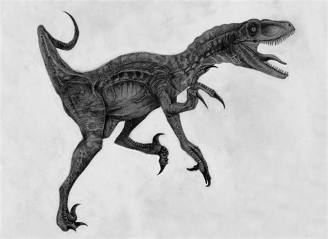 Velociraptor By Abandonskull On Deviantart Velociraptor Dinosaur Art