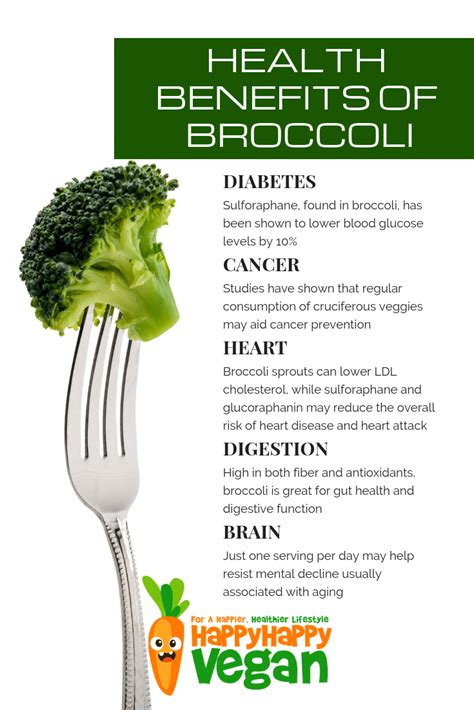 Broccoli 101 Recipes Benefits Nutrition Facts And More