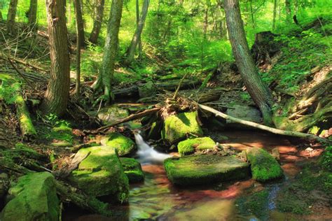 Free Images North Carolina Forest Slow Aperture Boulders Green