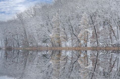 Winter Reflections Deep Lake Snow Flocked Stock Photo Image Of Lake