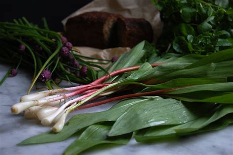 What Are Ramps All About Cooking Ramps