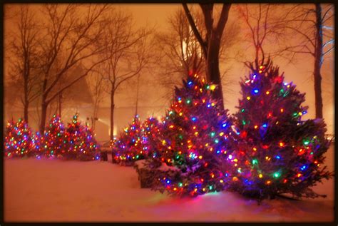 Christmas Lights In A Snowstorm Etolane Flickr