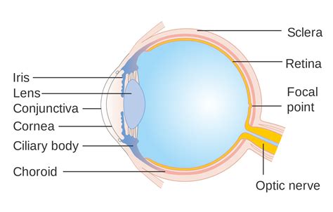 Dry Eye Syndrome Farmigea